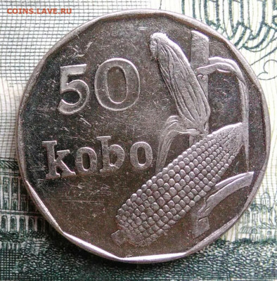 Нигерия 50 кобо 2006 года до 20.10.2025 - IMG_20251015_195728