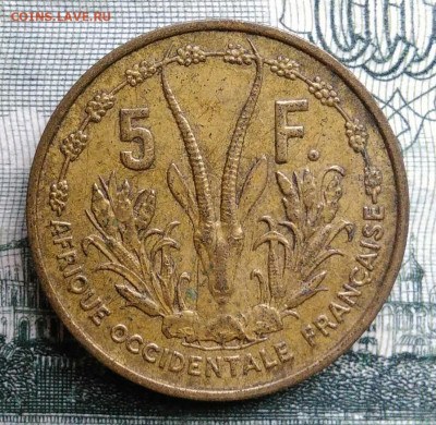 Западная Африка 5 франков 1956 года до 20.10.2025 - IMG_20251015_194448