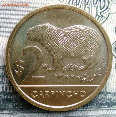 Уругвай 2 песо 2024 года до 20.10.2025 - IMG_20251012_235922