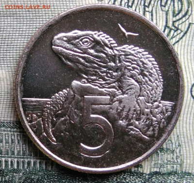 Новая Зеландия 5 центов 2004 года до 20.10.2025 - IMG_20251012_232941