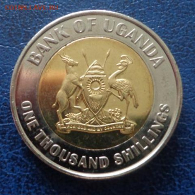 Уганда 1000 шиллингов 2012 UNC до 21.10 - DSC00252.JPG