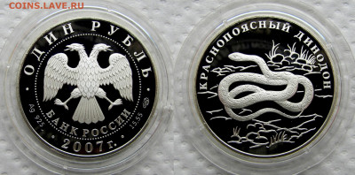 1 рубль 2007 года, Краснопоясный динодон. До 22.10.25 22-00 - 2