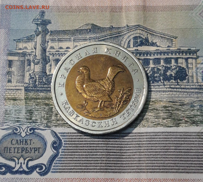 50 рублей 1993 года Красная Книга Кавказский Тетерев До22.10 - 20250416_203435