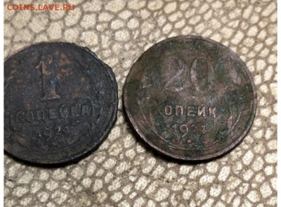 20 копейк 1924 медь - IMG_3633