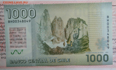 Чили 1000 песо 2020 года до 20.10.2025 - IMG_20251015_212711
