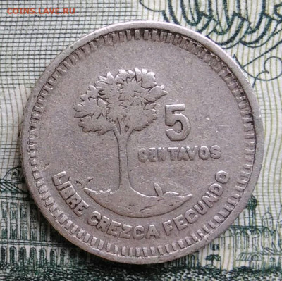 Гватемала 5 сентаво 1949 года до 20.10.2025 - IMG_20251012_233117