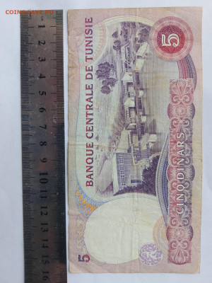 Тунис. 5 динаров. 1983 г. до 23,10,25 по МСК 22-00 - IMG-20250917-WA0149