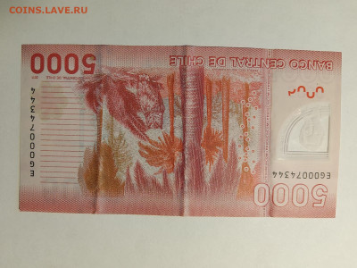 Чили 5000 песо 2011 года до 23,10,25 по МСК 22-00 - чили-5000-8