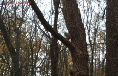 делает - прямо сейчас !!! - Фото-0024