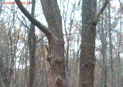 делает - прямо сейчас !!! - Фото-0023