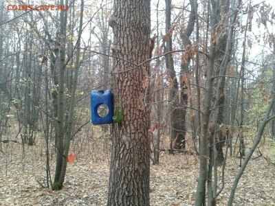 делает - прямо сейчас !!! - Фото-0016