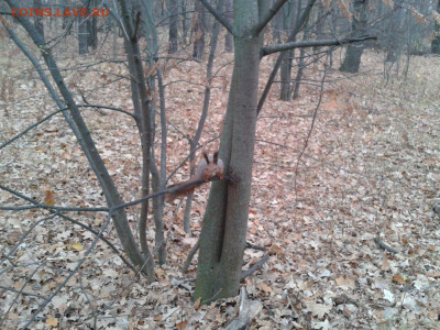 делает - прямо сейчас !!! - Фото-0015