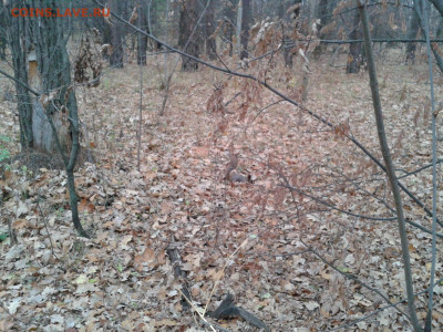 делает - прямо сейчас !!! - Фото-0014