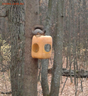 делает - прямо сейчас !!! - Фото-0008