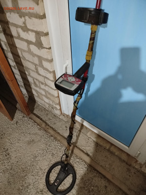 у - IMG_20251001_184228