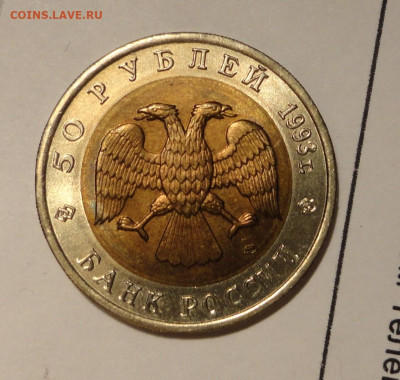 50р Красная Книга 93г Черноморская Афилина - DSC02791.JPG