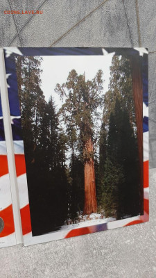 США 25 центов Полный Набор Парки США до 26.10.2025 22.00 - 5253507729526485098