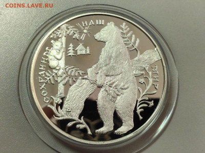 25р 1997 Бурый медведь, Ag900, до 28.10 - 25р Бурый медведь-1