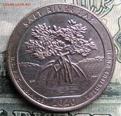 4 доллара 2020 года до 27.10.2025 - IMG_20251020_165155