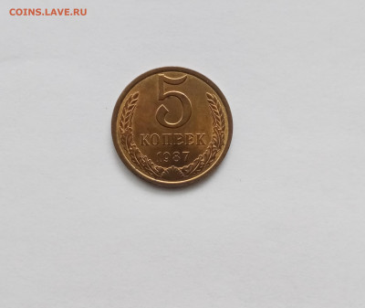 5 копеек 1987 года до 28.10.25 в 22:00 по мск - IMG_20251022_105118