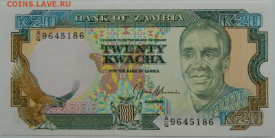 Замбия 20 квача 1988 г. до 28.10.25 - DSCN8701.JPG