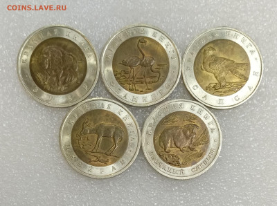 10-22:00МСК - IMG_20251022_191303_531