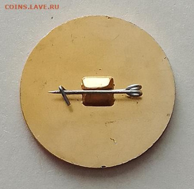 Электропередача системы Мир золотистый до 28.10. - значок_МГРЭС-Вулканешты-НРБ-электропередача-ситемы-Мир-золотистый_булавка