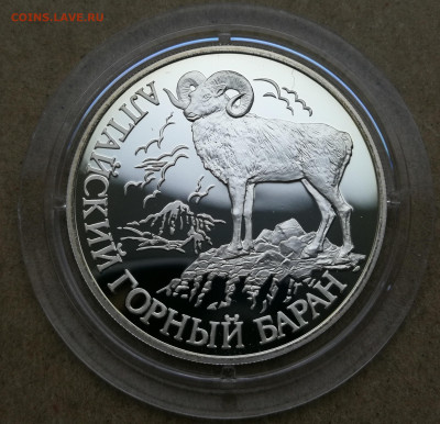 1 руб 2001г красная книга горный баран до 28.10 в 22-00 - IMG_20251022_174259