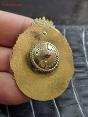 Управление таможенного сотрудничества - 25-10-25 - 23-00 мск - 20251001_111241