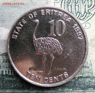 Эритрея 10 центов 1997 года до 27.10.2025 - IMG_20251022_212914