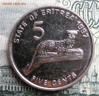 Эритрея 5 центов 1997 года до 27.10.2025 - IMG_20251022_213654