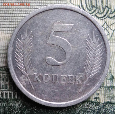Приднестровье 5 копеек 2005 года до 27.10.2025 - IMG_20251021_223436