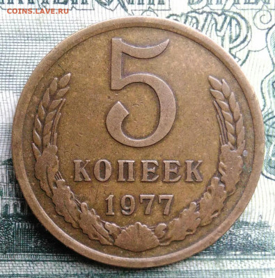 5 копеек 1977 года до 27.10.2025 - IMG_20251021_223104