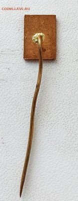 100 лет ZVU Чехословакия до 29.10. - знак_Чехословакия-100-ZVU_иголка