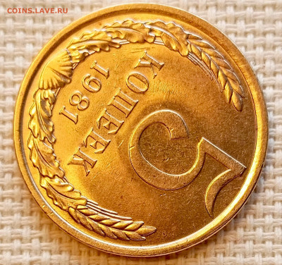 5 копеек 1981 года Штемпельный Блеск до 25.10 в 22.00 - 1761222932191