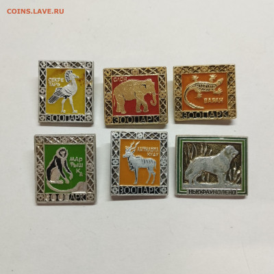 значки "Зоопарк", до 25.10.25г. - IMG_20251007_100415