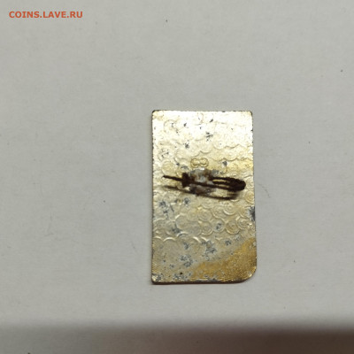 20 лет пионерлаг. Ленинец, до 25.10.25г. - IMG_20251007_101538