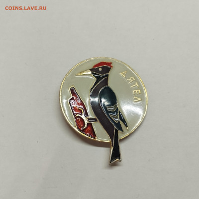 Значок Дятел, до 25.10.25г. - IMG_20251007_102315