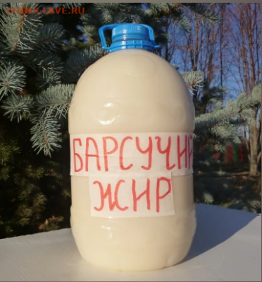 БАРСУЧИЙ ЖИР от ОХОТНИКА,осень 2025г. - К