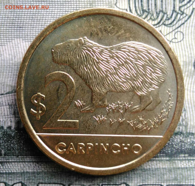 Уругвай 2 песо 2024 года до 27.10.2025 - IMG_20251023_211326