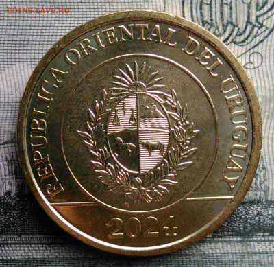 Уругвай 2 песо 2024 года до 27.10.2025 - IMG_20251023_211340