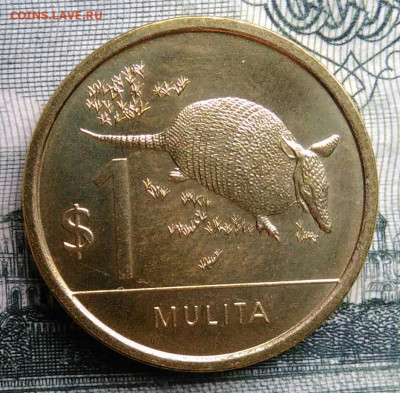 Уругвай 1 песо 2024 года до 27.10.2025 - IMG_20251019_185807