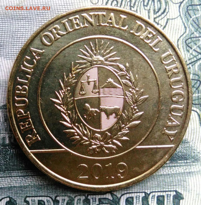 Уругвай 5 песо 2019 года до 27.10.2025 - IMG_20251019_185743