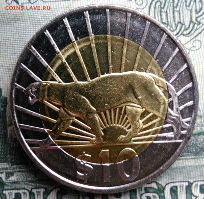 Уругвай 10 песо 2015 года до 27.10.2025 - IMG_20251019_185922