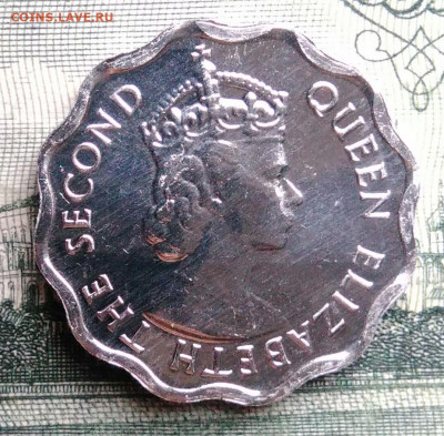 Белиз 1 цент 2018 года до 27.10.2025 - IMG_20251019_190632