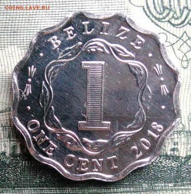 Белиз 1 цент 2018 года до 27.10.2025 - IMG_20251019_190651