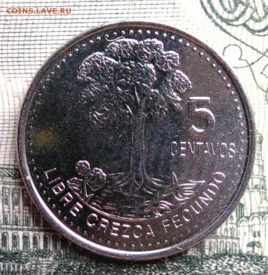 Гватемала 5 сентаво 2022 года до 27.10.2025 - IMG_20251019_190919