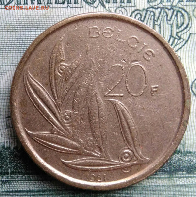Бельгия 20 франков 1981 года до 27.10.2025 - IMG_20251021_223716