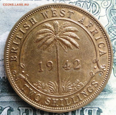 Британская Западная Африка 2 шиллинга 1942 до 27.10.2025 - IMG_20251022_215719