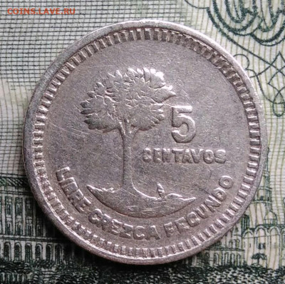 Гватемала 5 сентаво 1949 года до 27.10.2025 - IMG_20251021_223136